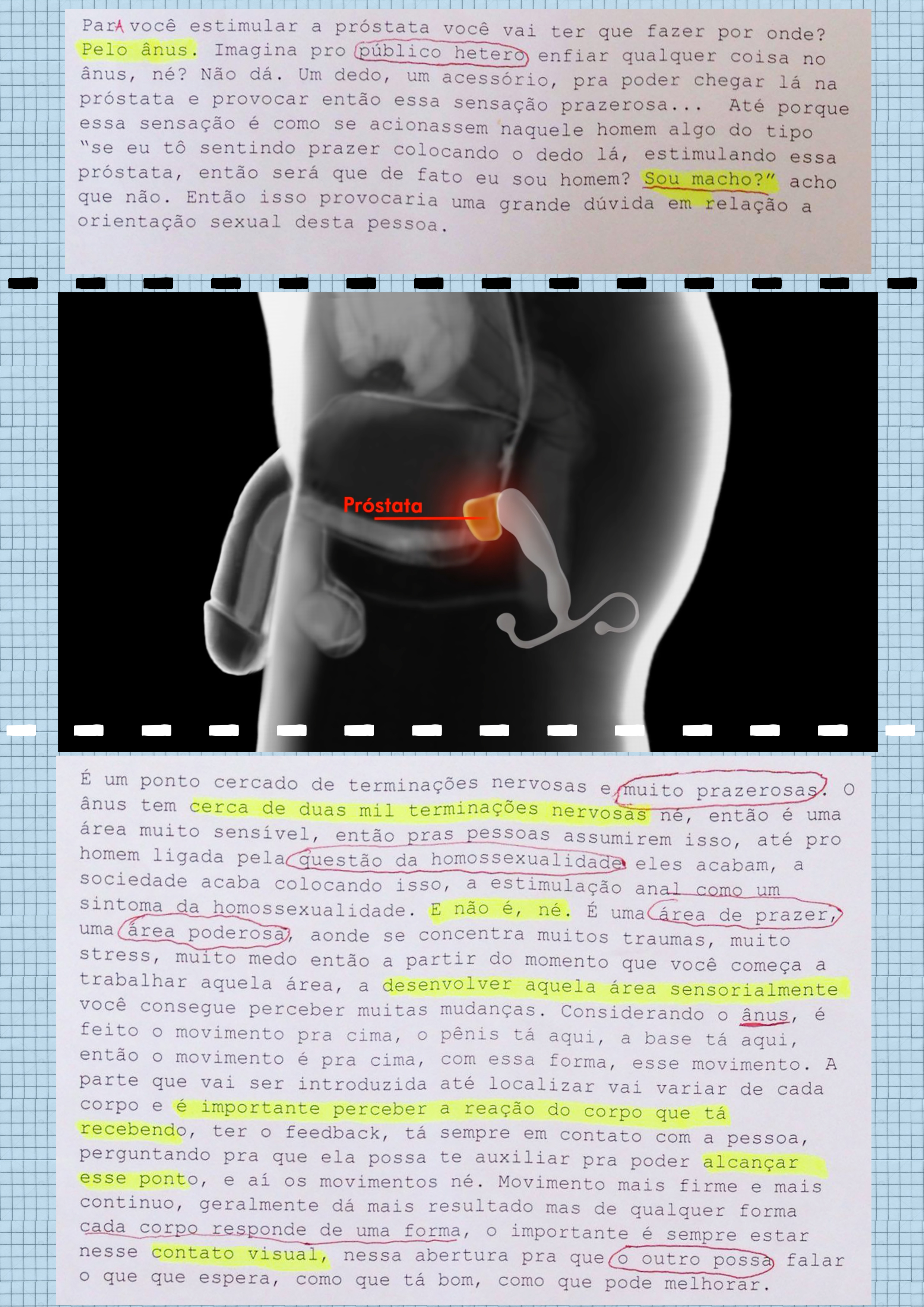 Aproveite Sua Próstata: um Curta-Artigo